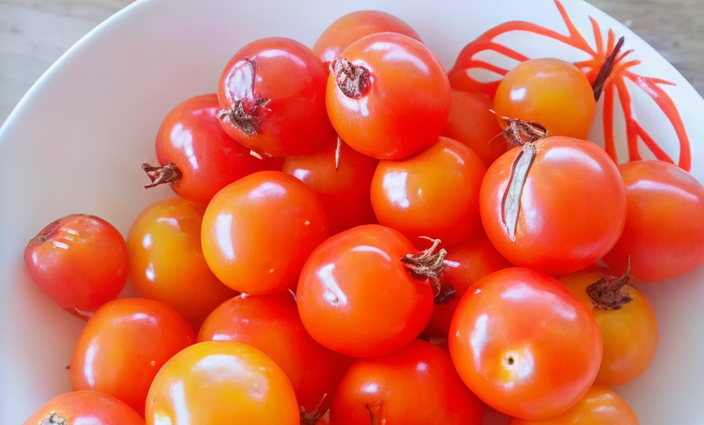 Jitomate Citlali Rojo