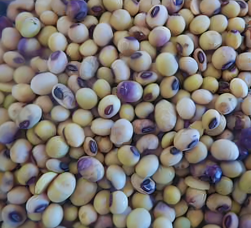 Soya Huasteca