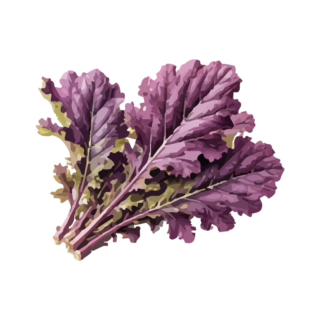 Mostaza Morada