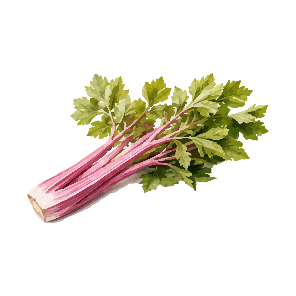 Apio Rosa