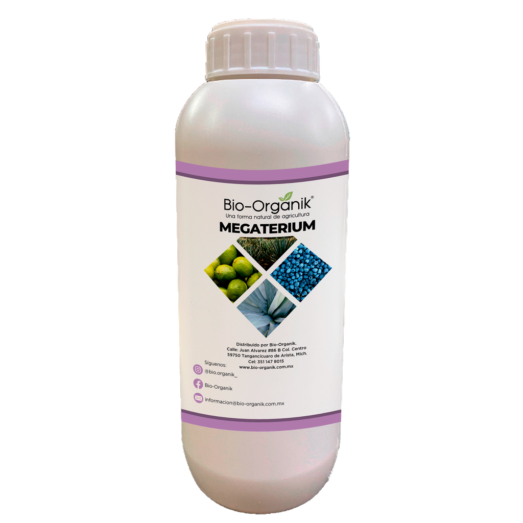 Bio-Organik Bacillus Megaterium 1 lt