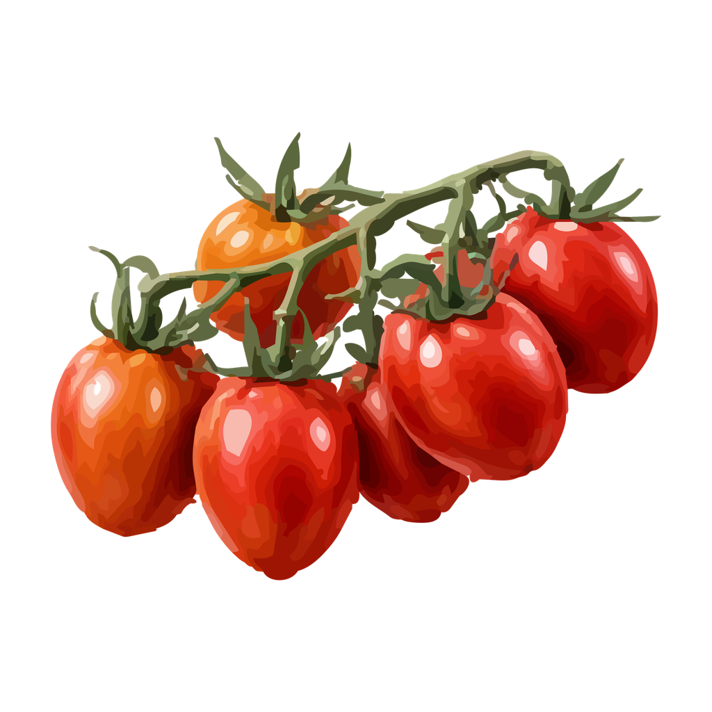 Jitomate Citlali rojo