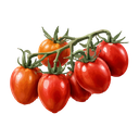 Jitomate Citlali rojo