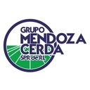 Grupo Mendoza Cerda
